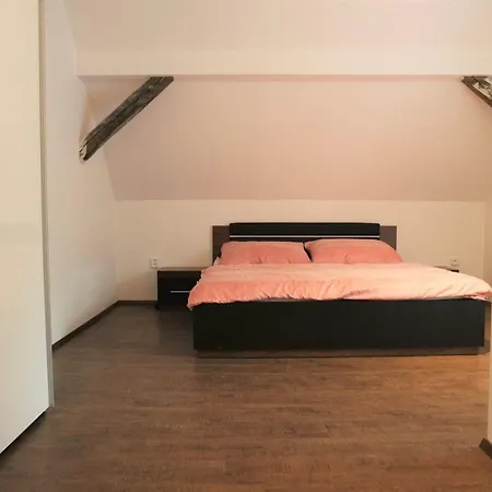 U Parku Apartment Trebon Exterior photo